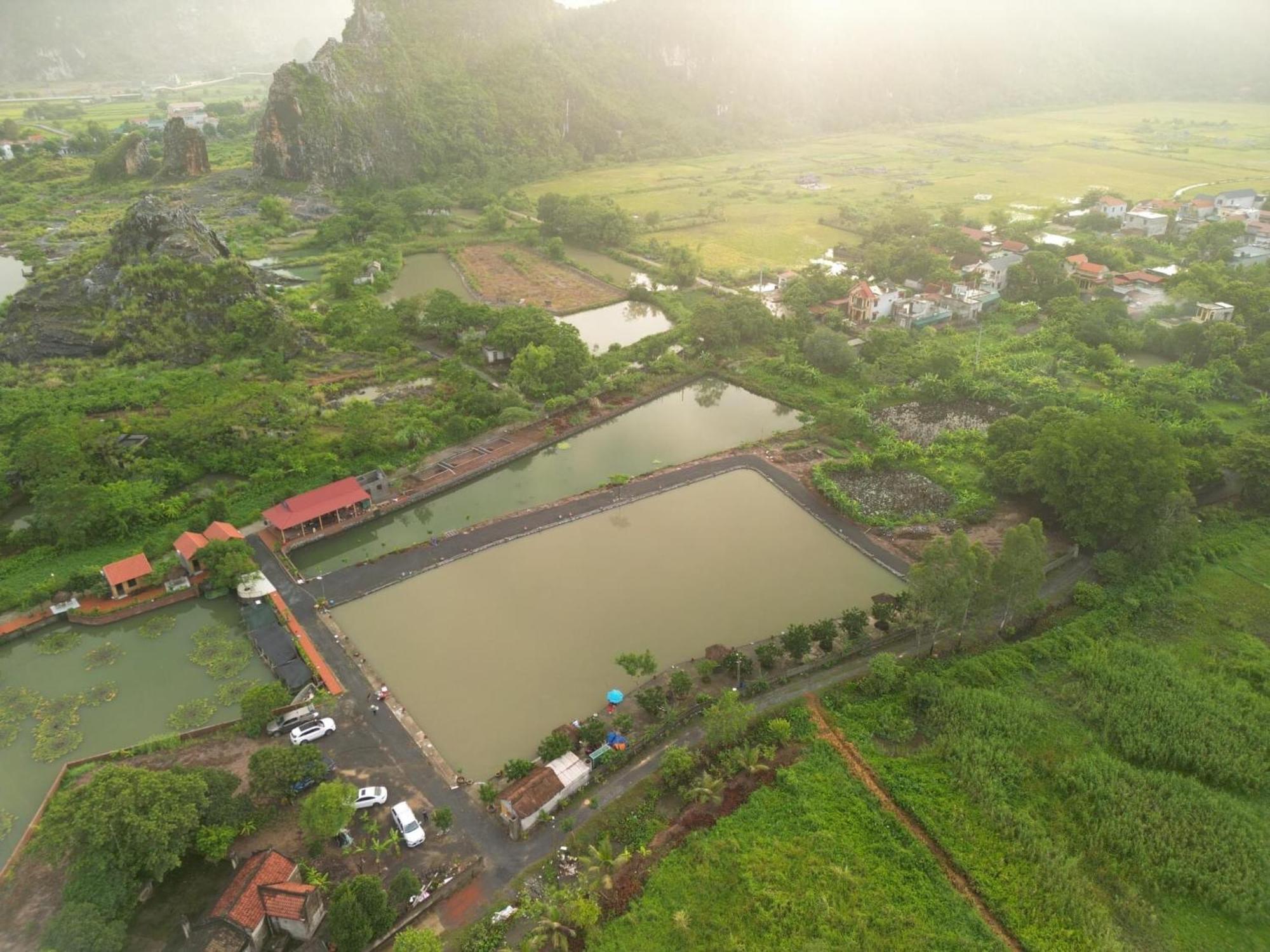 Tam Coc Cat Luong Homestay Ninh Binh Dış mekan fotoğraf