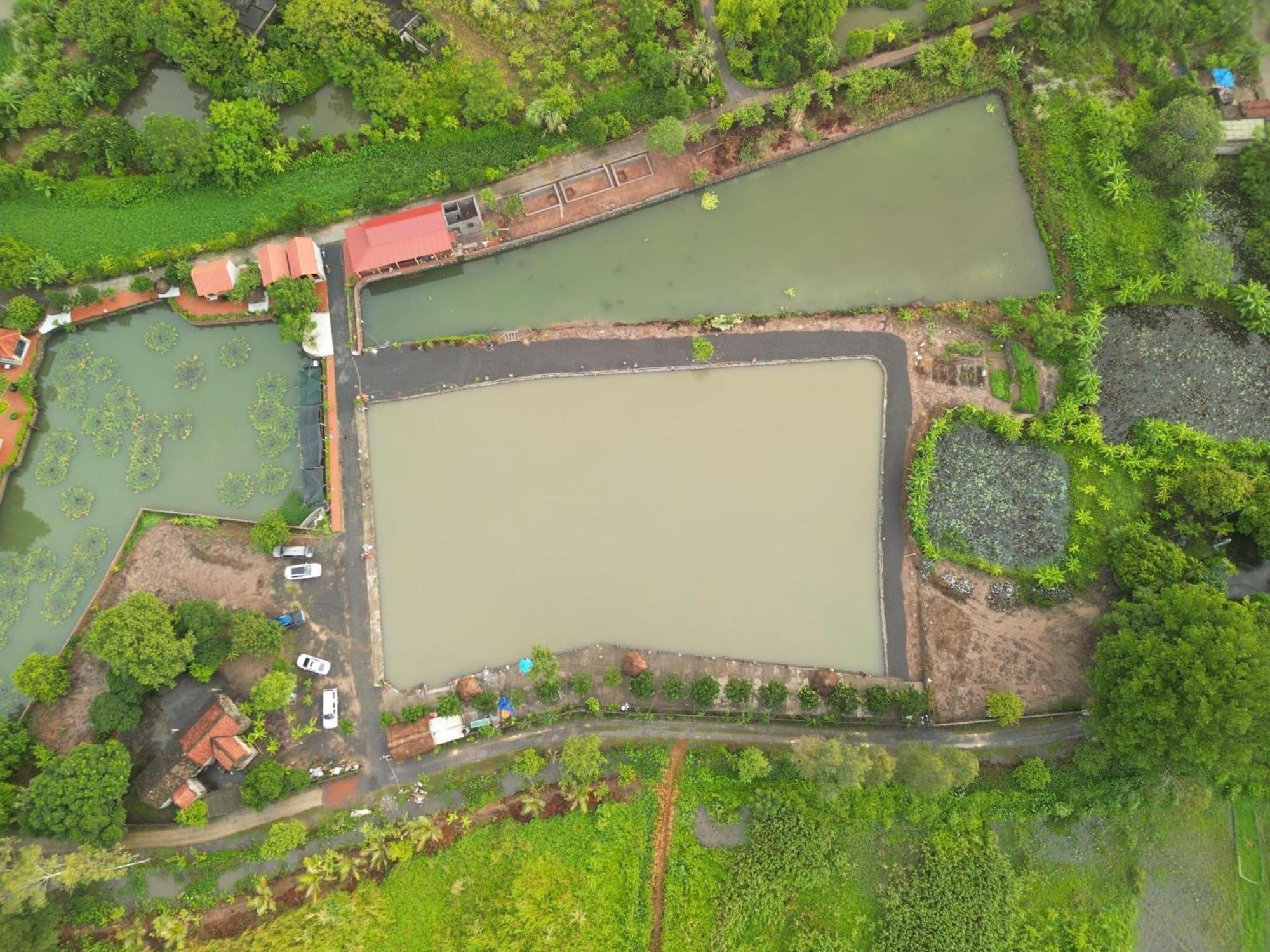 Tam Coc Cat Luong Homestay Ninh Binh Dış mekan fotoğraf